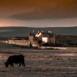 Welsh Land and Seascapes