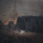 Brecon Beacons Winter