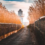 Newport Wetlands