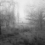 Regents Park